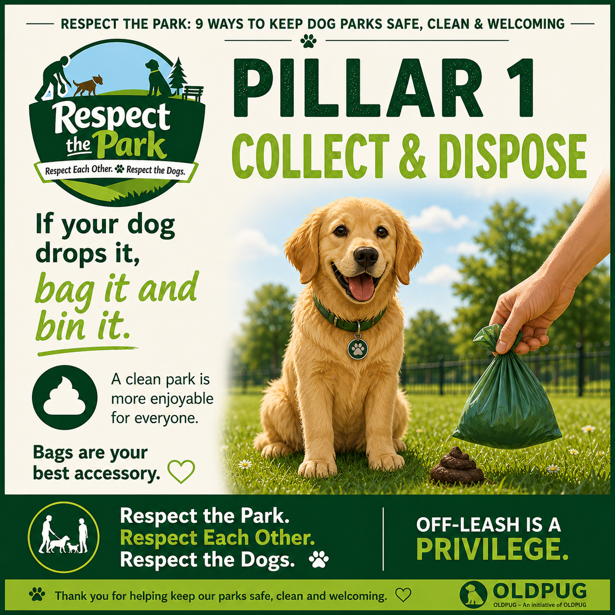Respect the Park Pillar 1 poster: Collect and Dispose