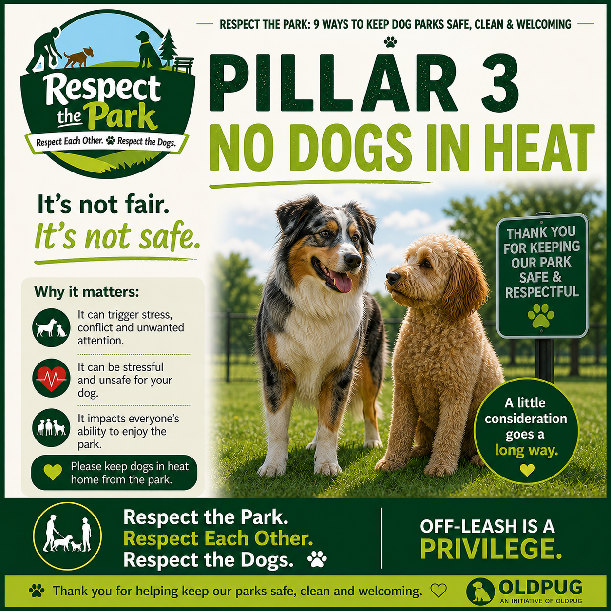 Respect the Park Pillar 3 poster: No Dogs in Heat